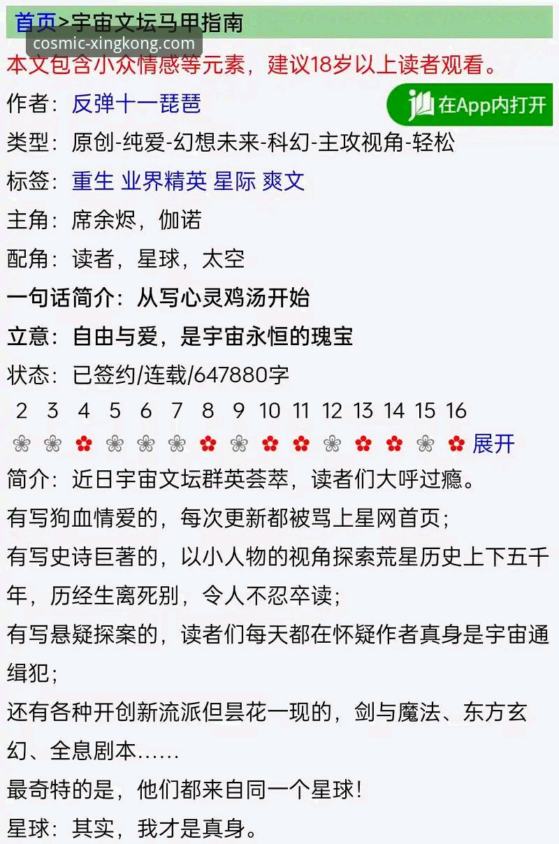 星空入口平台APP下载与使用完整指南